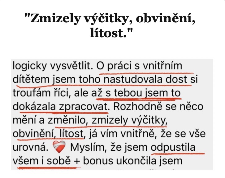 Reference účastníka webináře